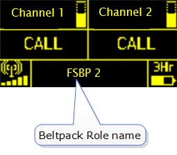 Find beltpack Role name