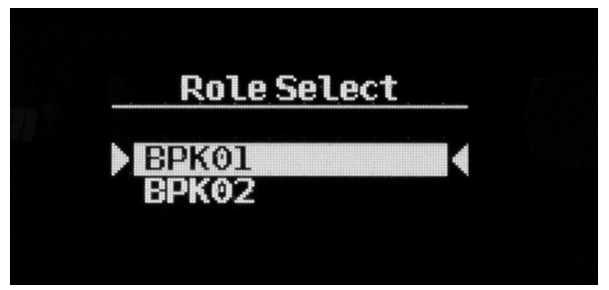 Select beltpack role