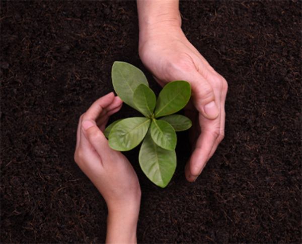 A Clear Commitment to a Sustainable Future