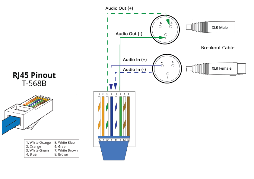 XLR Breakout Cable 